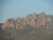 Organ Mountains